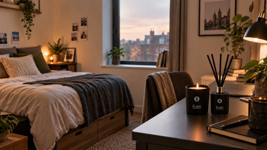 Make a student room a home