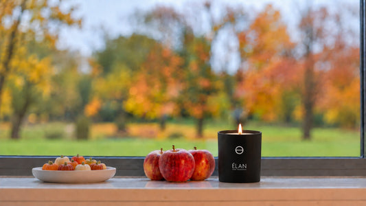 SYLVAN - an Autumn fragrance to transform your home